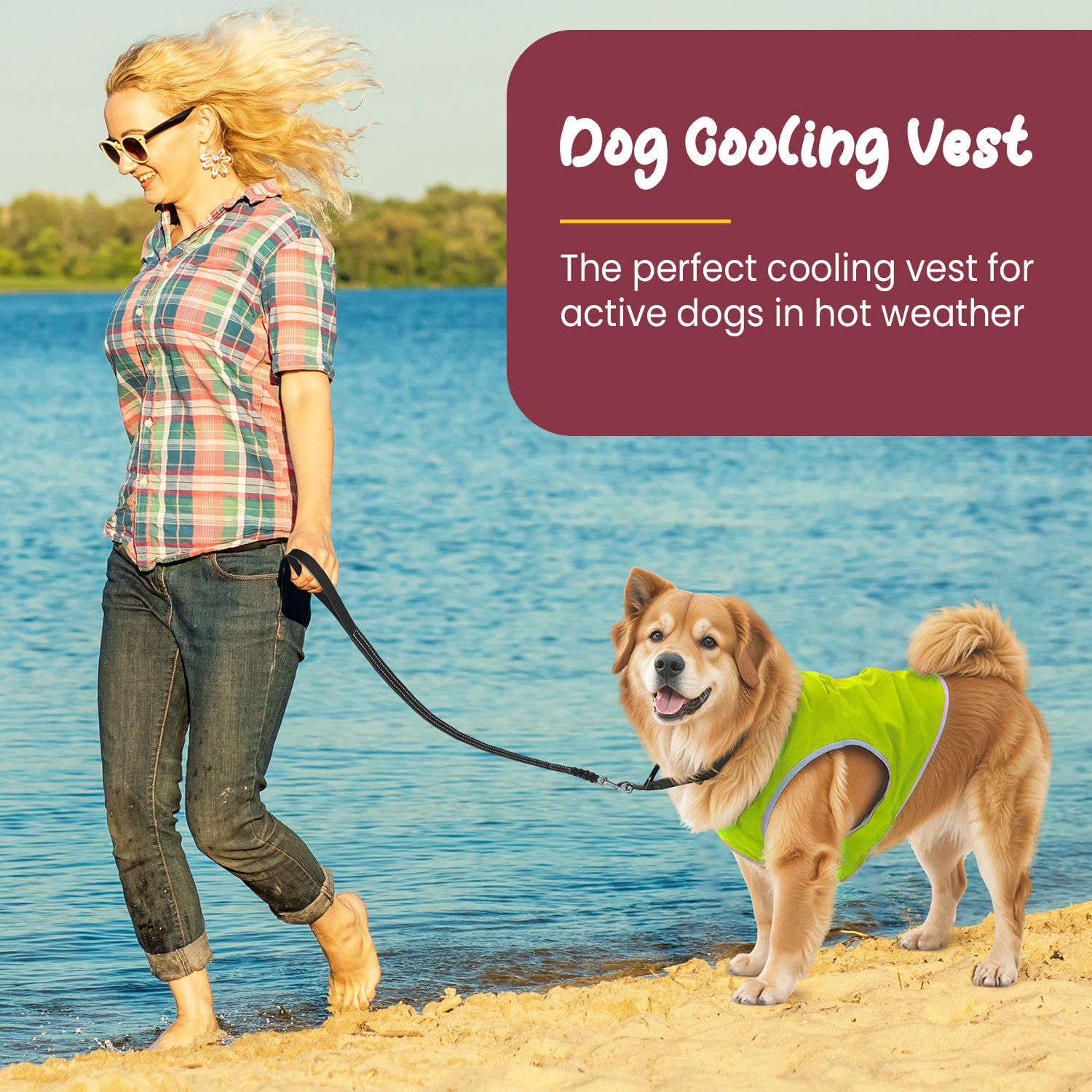 Dog Cooling Vest with Lightweight Breathable Mesh and Reflective Striping for Beach, Hiking, Walking