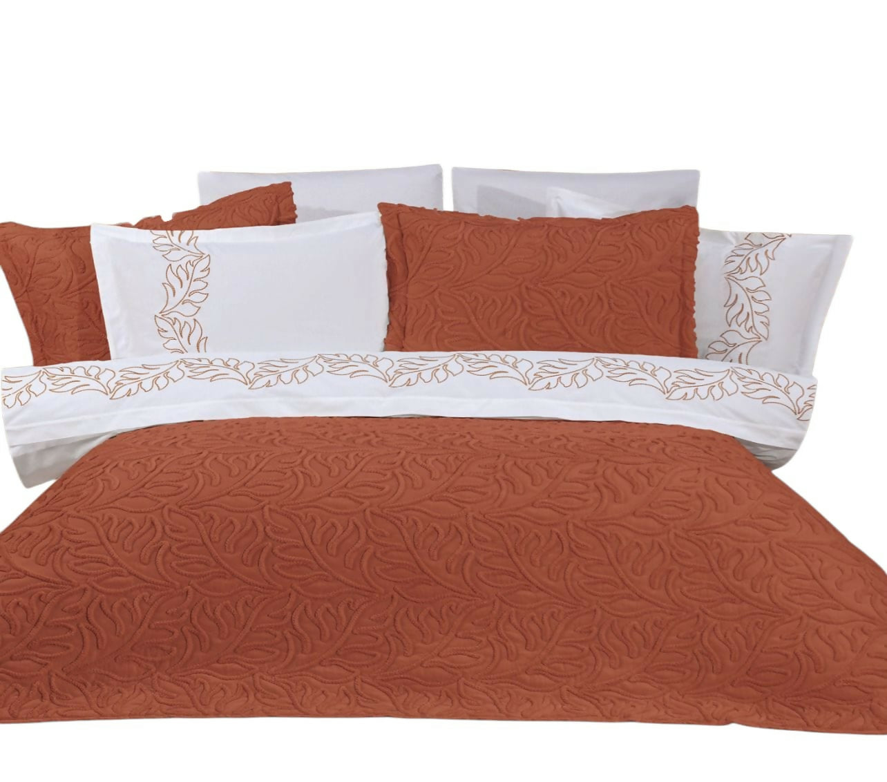 WhatsApp Image 2025-06-17 at 10.59.03 (1)