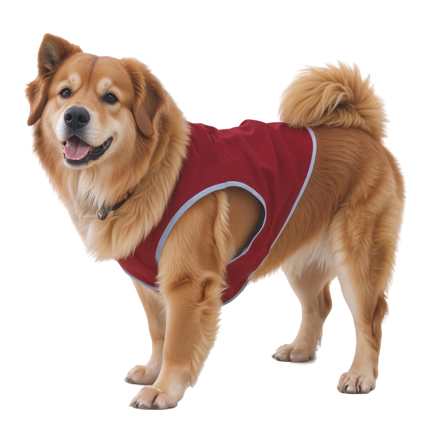 Dog Cooling Vest with Lightweight Breathable Mesh and Reflective Striping for Beach, Hiking, Walking