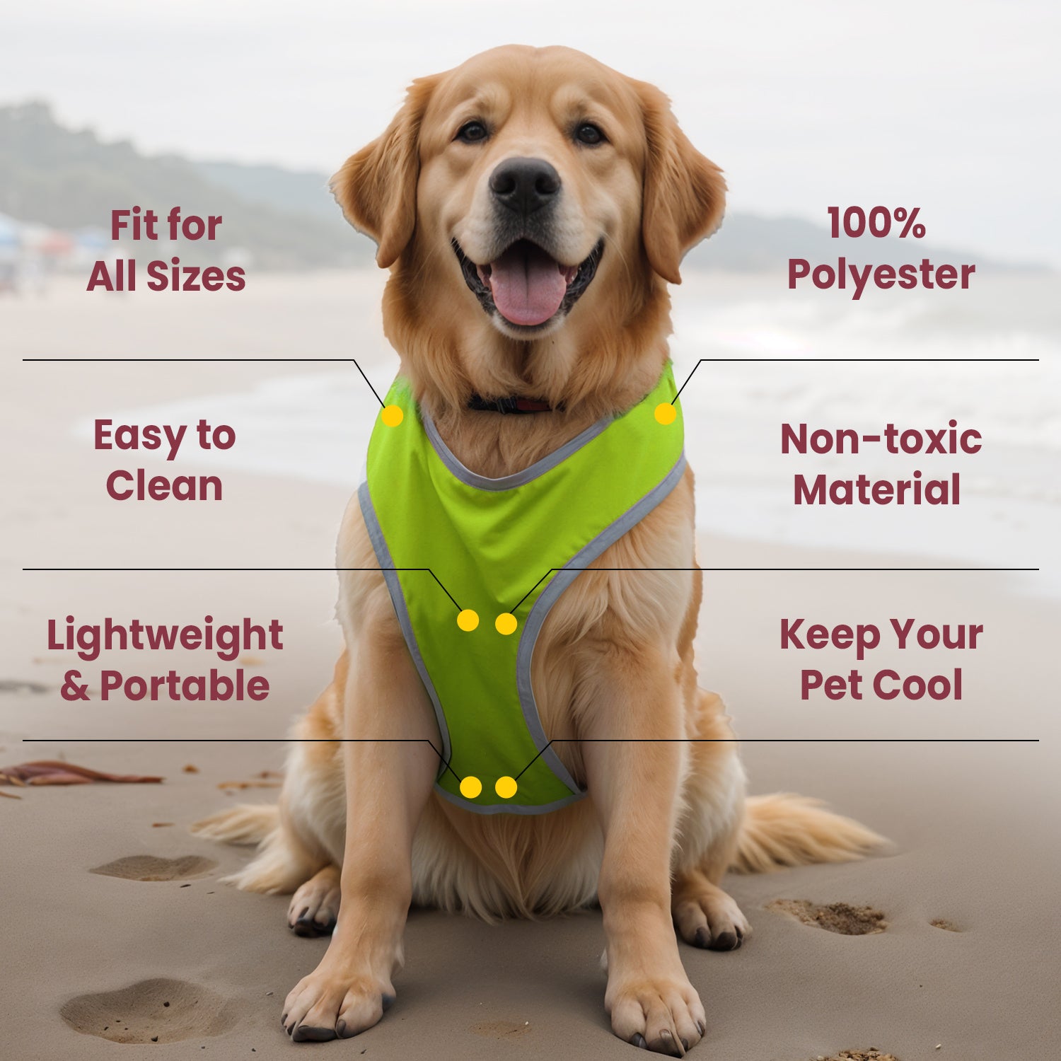 Dog Cooling Vest with Lightweight Breathable Mesh and Reflective Striping for Beach, Hiking, Walking