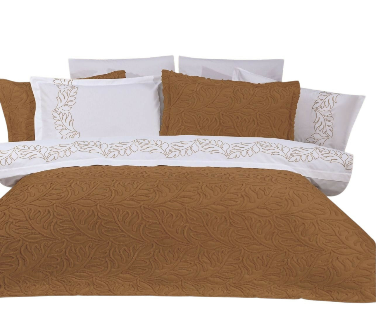 WhatsApp Image 2025-06-17 at 11.41.10