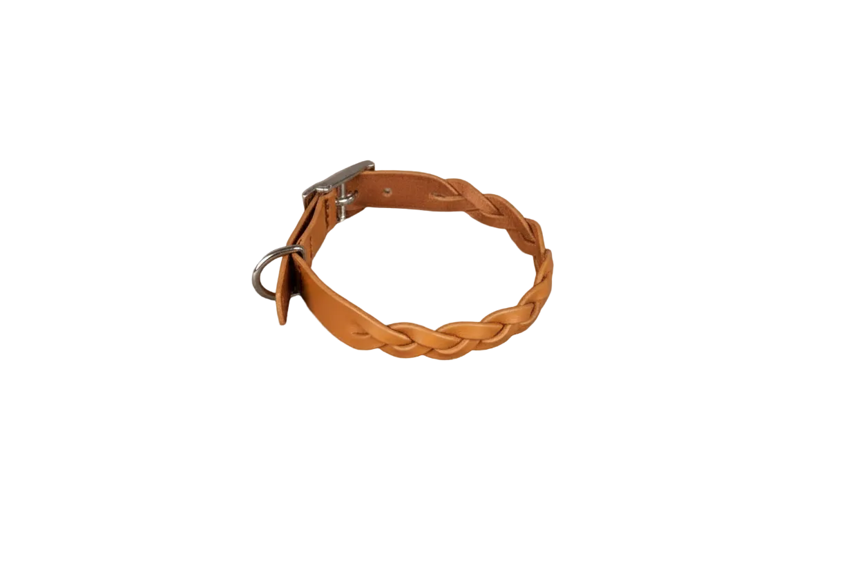 Braided Leather Dog Collar – Adjustable, Durable Leather Collar for Toy Breed Dogs