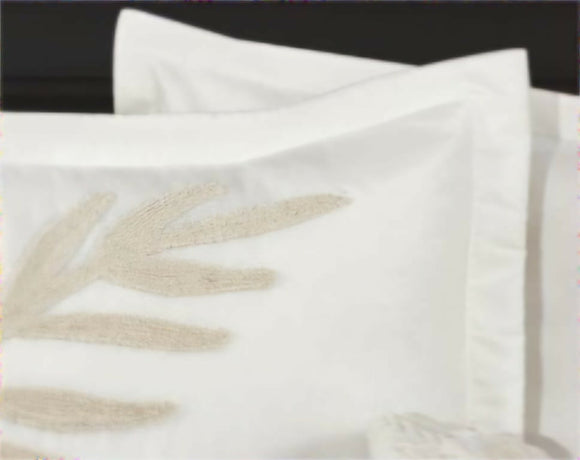 WhatsApp Image 2025-06-16 at 23.41.59