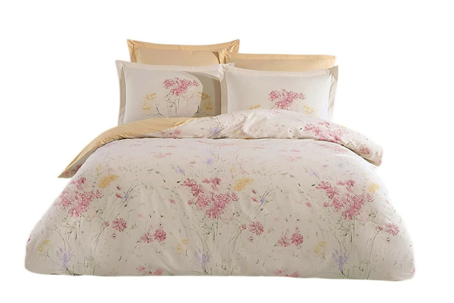 WhatsApp Image 2025-06-16 at 23.34.37