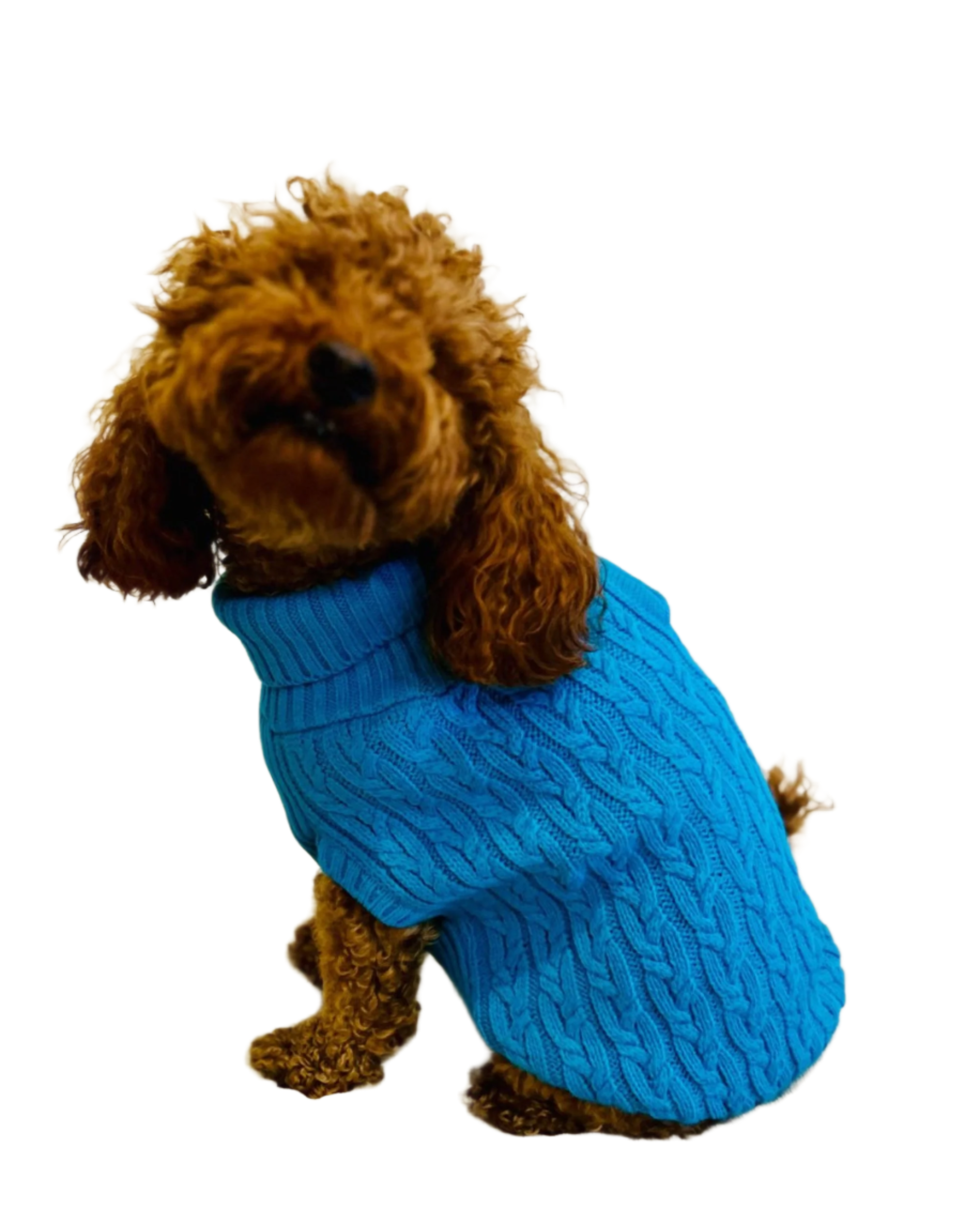 Dogs and Cats Colorful Knitted Turtleneck Sweater for Dogs