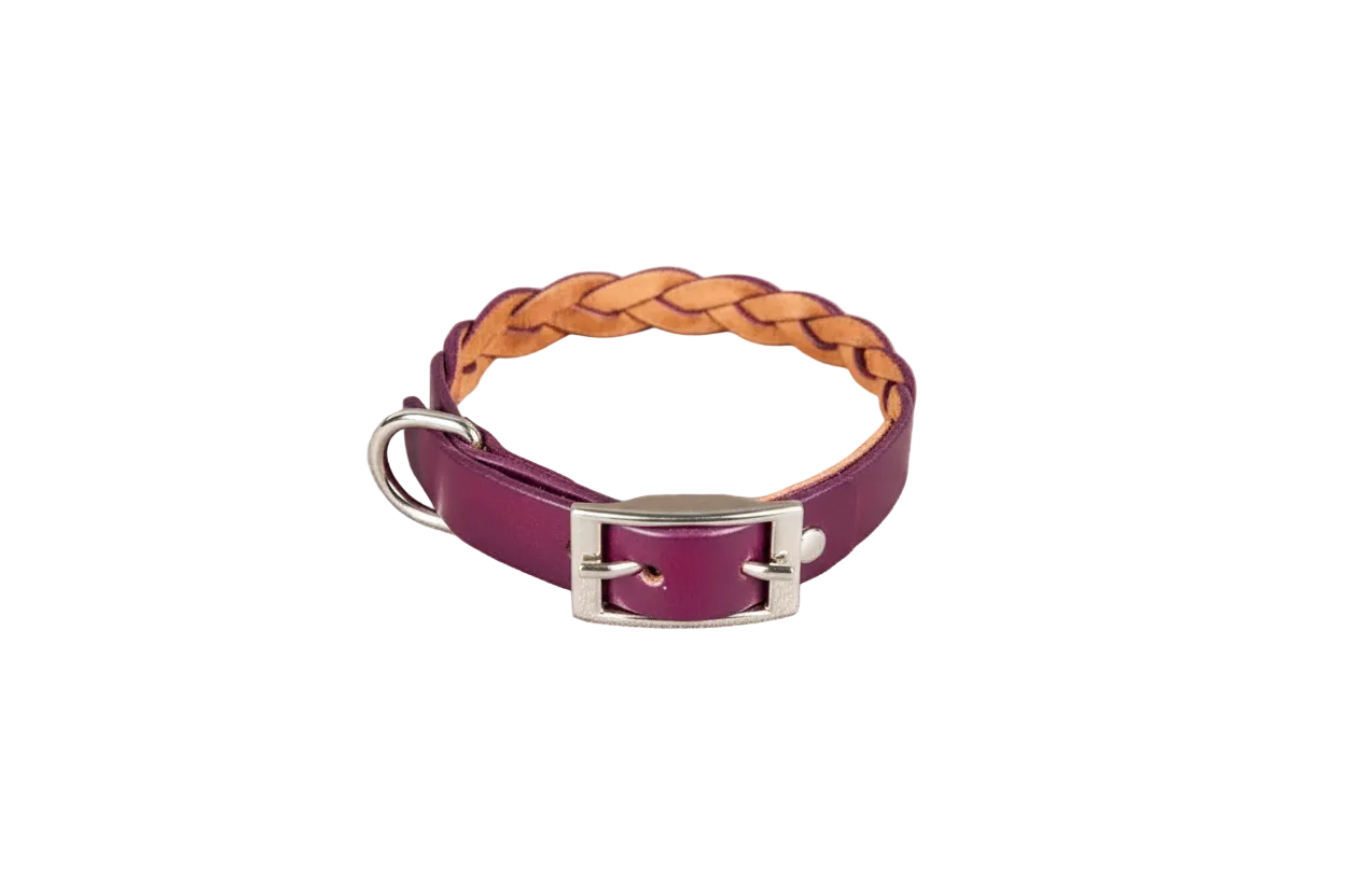 Braided Leather Dog Collar – Adjustable, Durable Leather Collar for Toy Breed Dogs