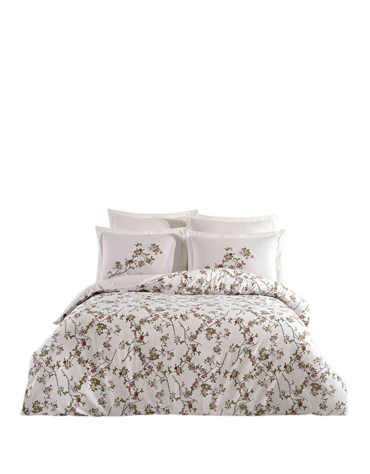 WhatsApp Image 2025-06-16 at 23.36.55