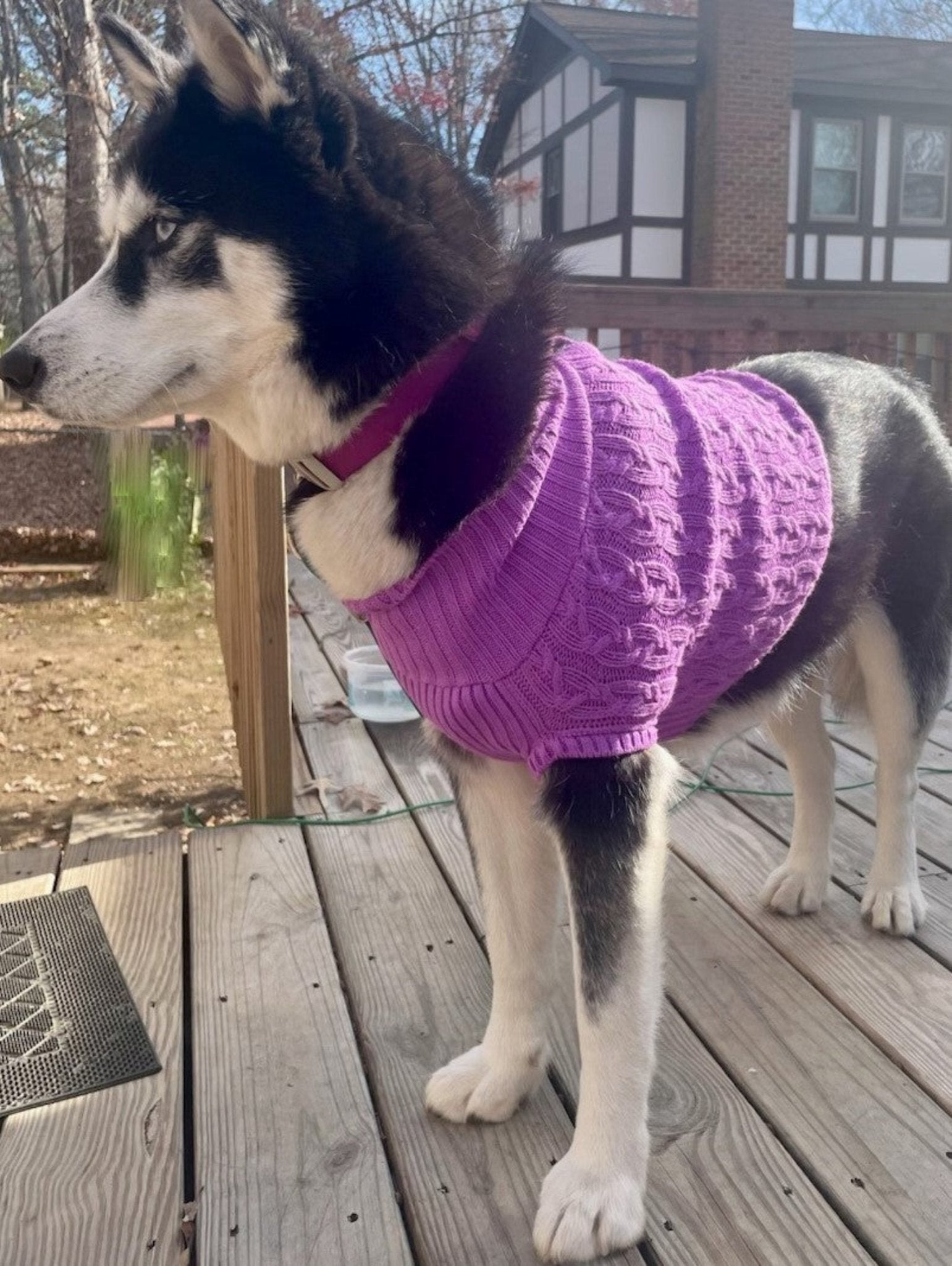 Dog and Cat Colorful Knitted Turtleneck Sweater - Wear Sierra