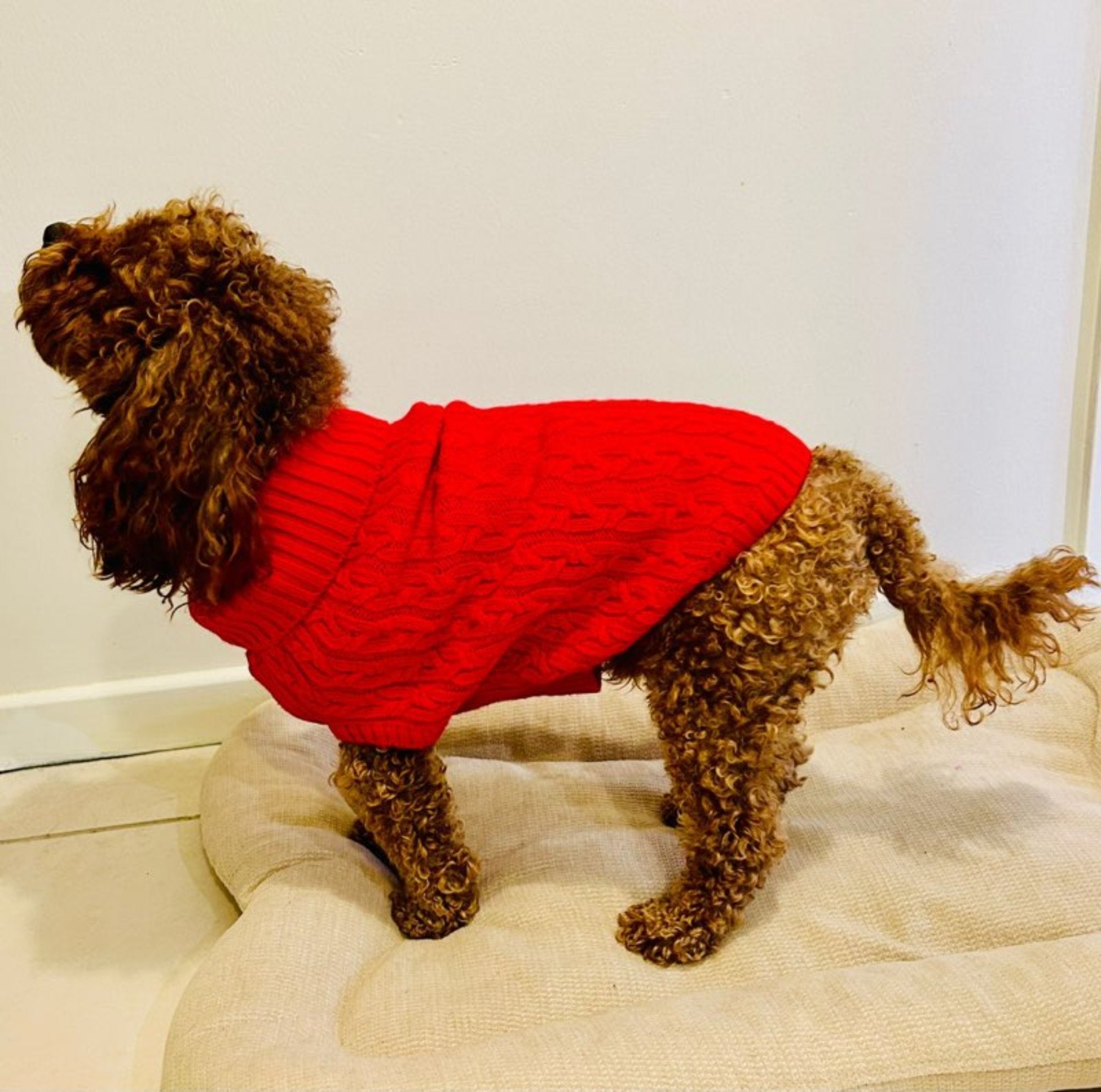 Dog and Cat Colorful Knitted Turtleneck Sweater - Wear Sierra
