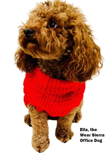 Dog and Cat Colorful Knitted Turtleneck Sweater - Wear Sierra