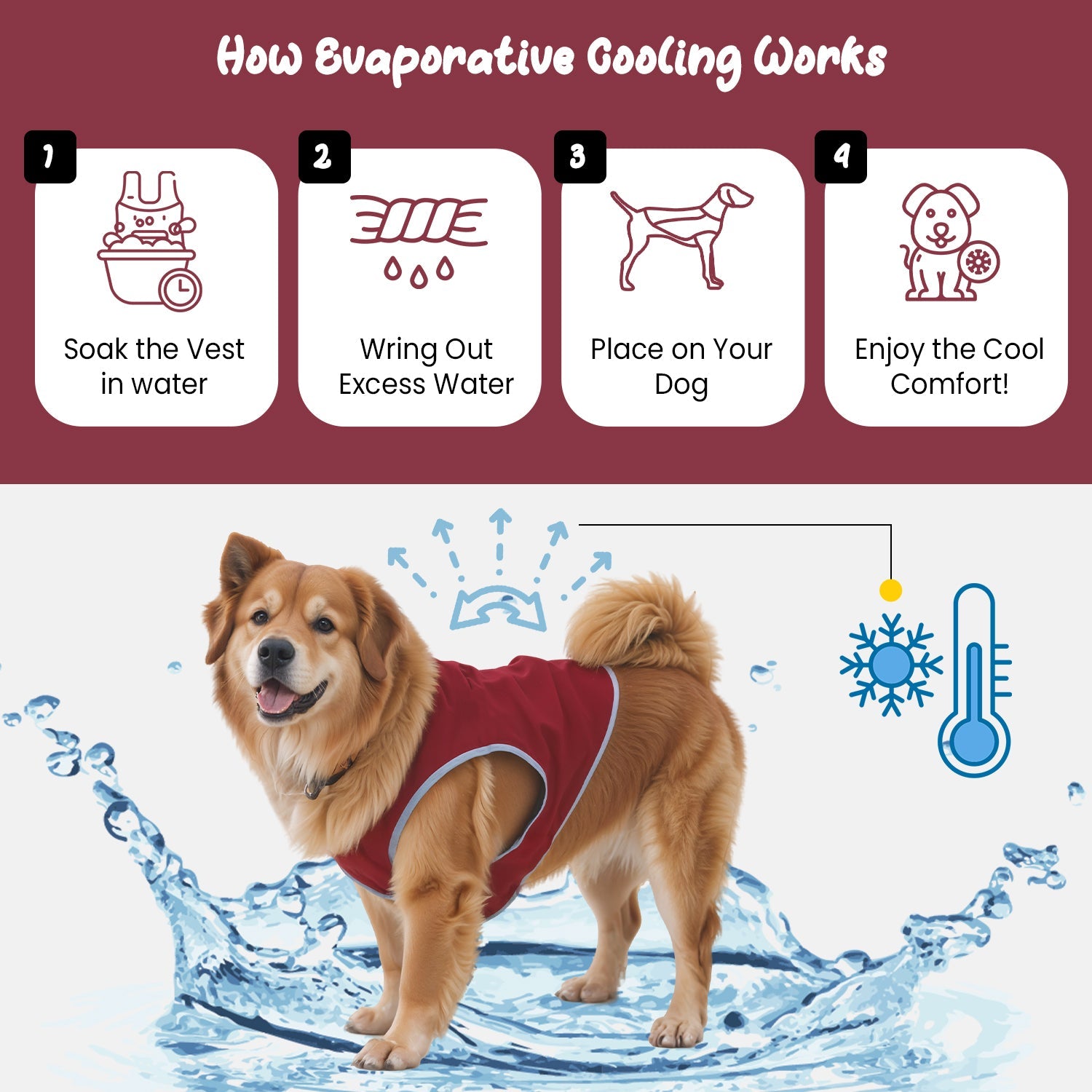 Dog Cooling Vest with Lightweight Breathable Mesh and Reflective Striping for Beach, Hiking, Walking - Wear Sierra
