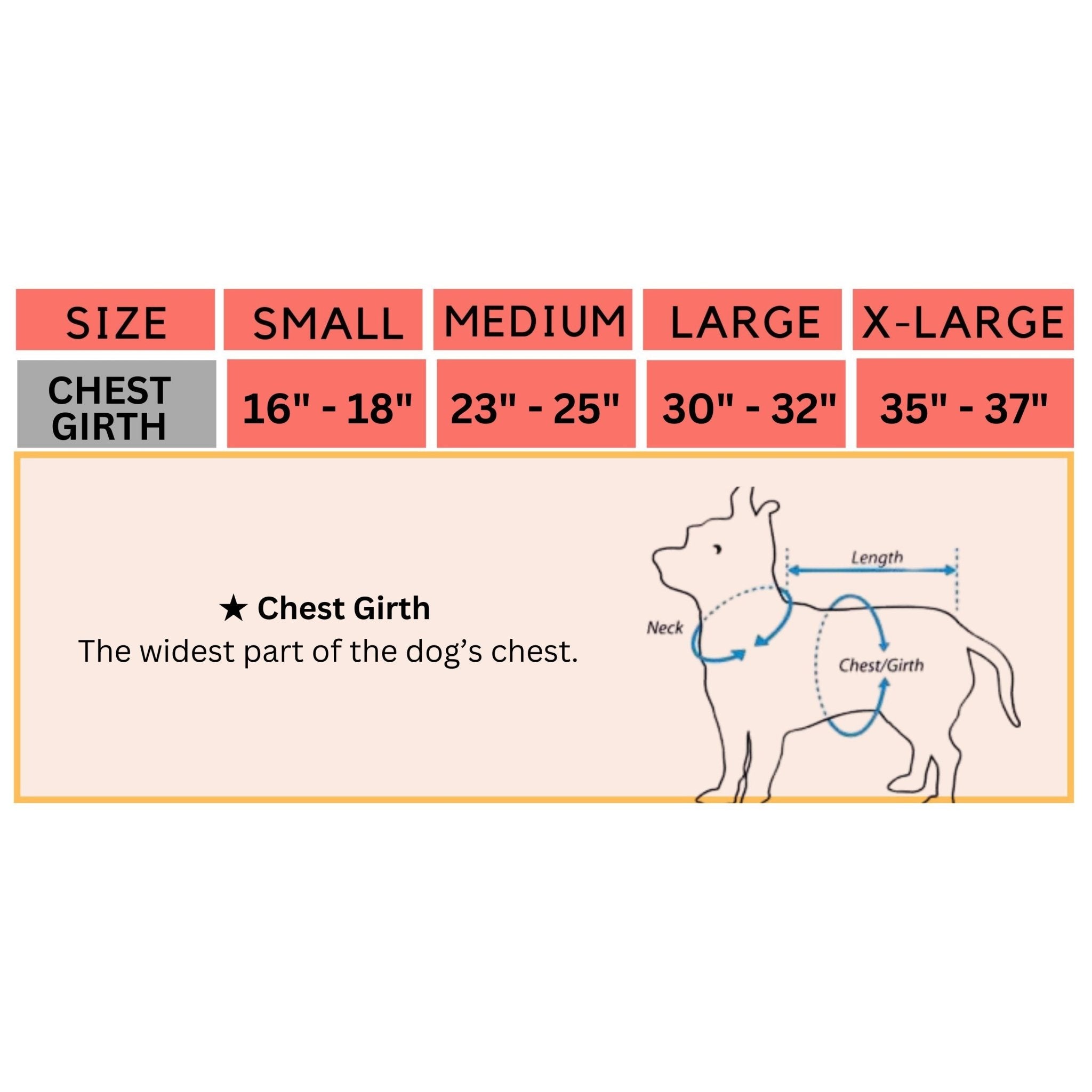 Dog Cooling Vest with Lightweight Breathable Mesh and Reflective Striping for Beach, Hiking, Walking - Wear Sierra