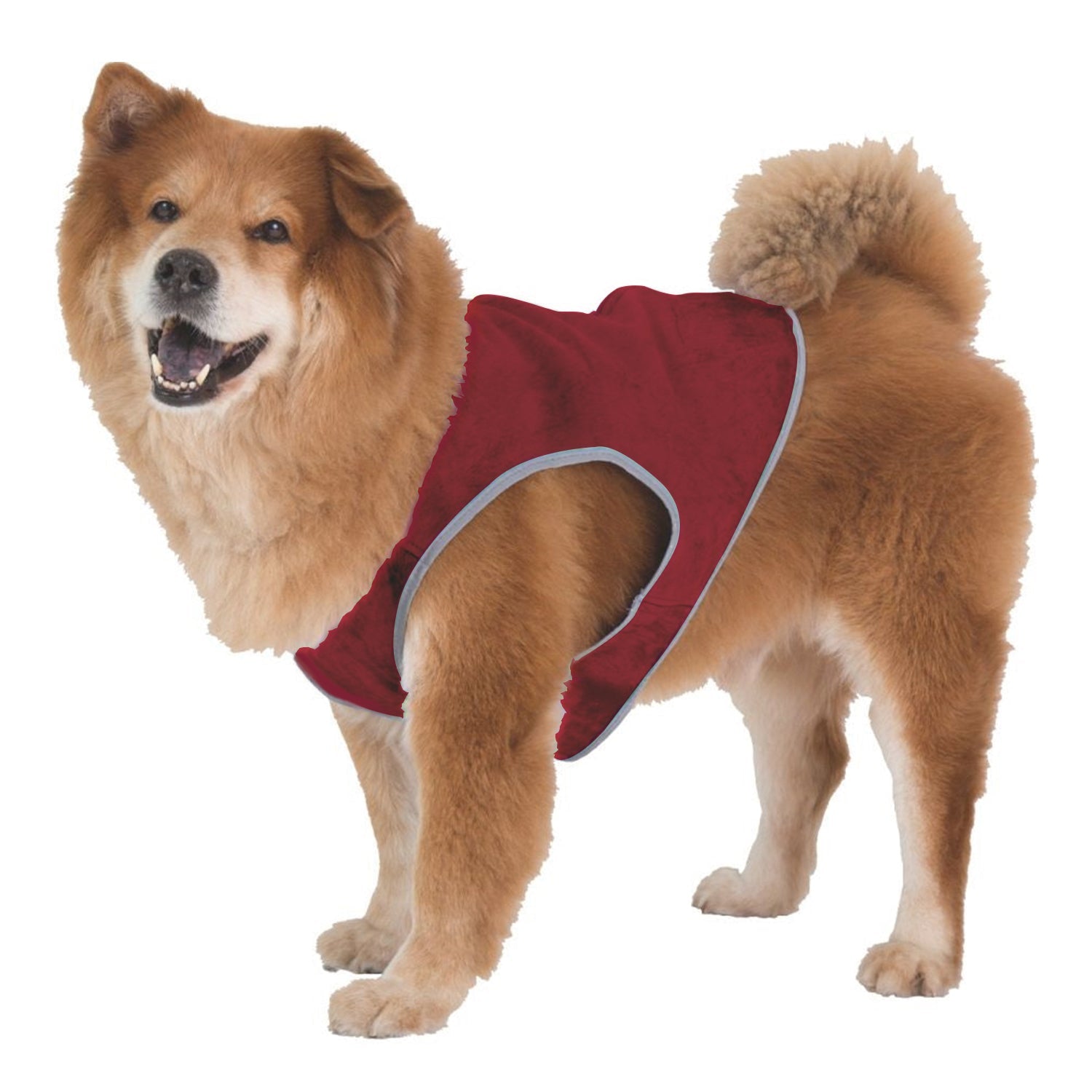 Dog Cooling Vest with Lightweight Breathable Mesh and Reflective Striping for Beach, Hiking, Walking - Wear Sierra