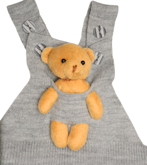 Wear Sierra Overall Bear Pattern Unisex Pants For Babies And Kids, Cute Design Outfit For Babies - Wear Sierra