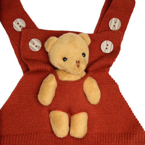 Wear Sierra Overall Bear Pattern Unisex Pants For Babies And Kids, Cute Design Outfit For Babies - Wear Sierra