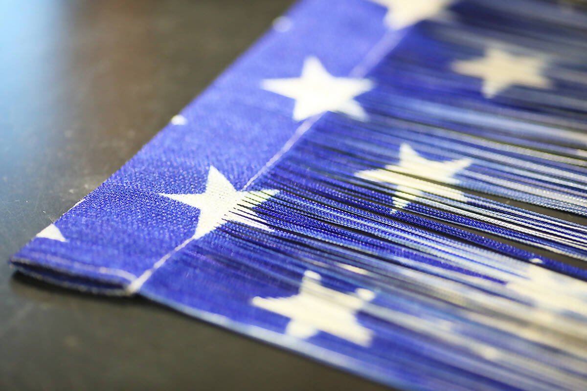 American Flag String Curtain - July 4th Decorating, Great for Barbeques, Picnics, Weddings - Wear Sierra
