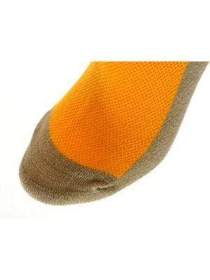 Cotton Anklet-Hi Socks with Heel Guard for Women - Wear Sierra