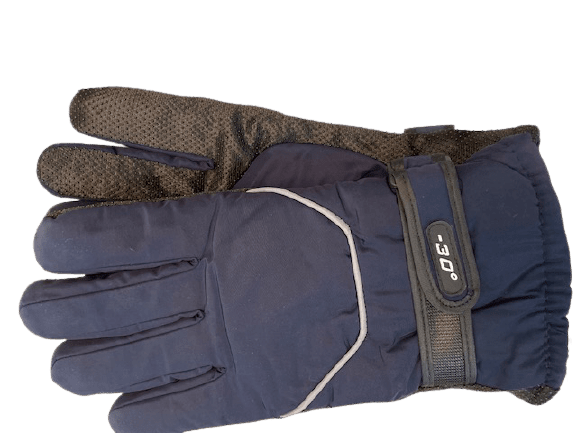 Men's Winter Gloves (Water-Proof and Insulated) - Wear Sierra