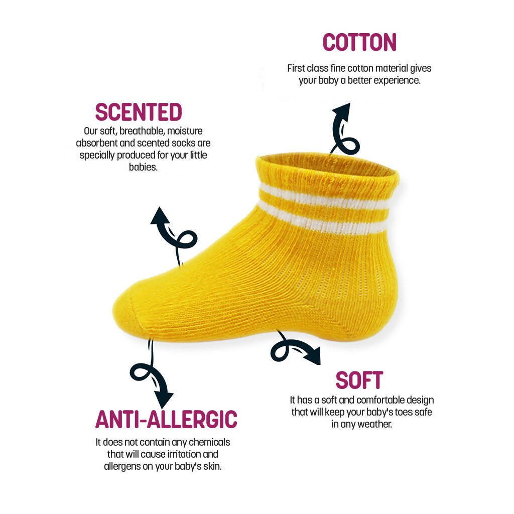Newborn to 6 Months Boy's Cotton Ankle-Hi Socks with Stripes - Wear Sierra